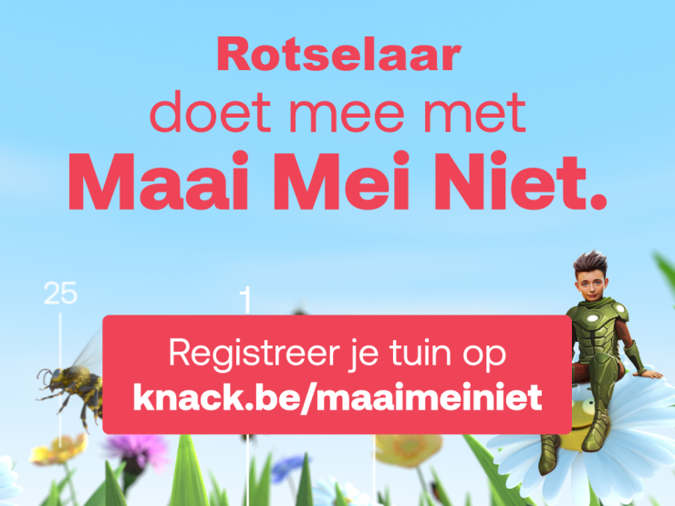 Maai Mei Niet