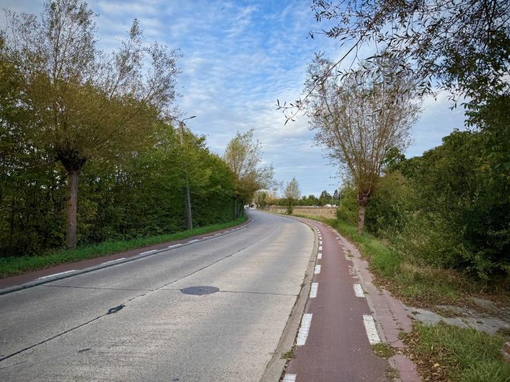 De Torenstraat in Rotselaar.