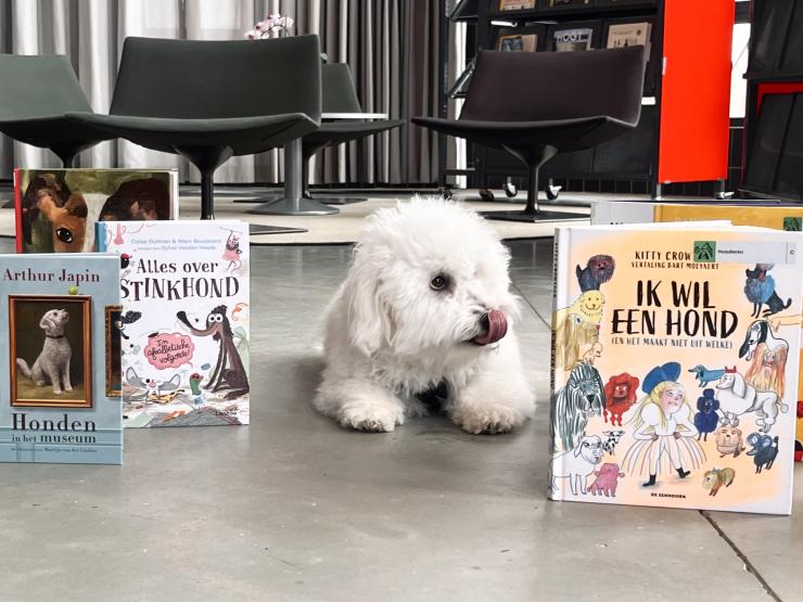 Hond bij jeugdboeken over dieren in de bibliotheek