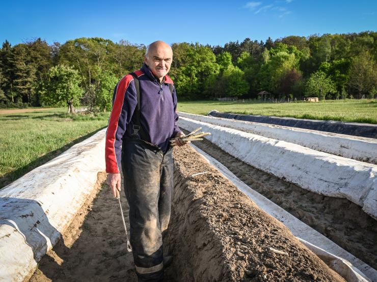 Landbouwer Willem Elsen op het aspergeveld.